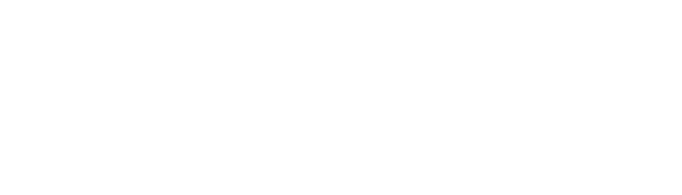 PROJECT STORY 03